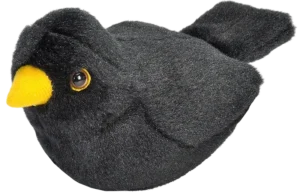 Svarttrost - Plysjfugl med "ekte" sang