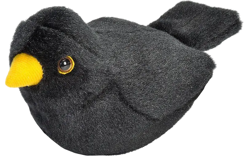 Svarttrost - Plysjfugl med "ekte" sang