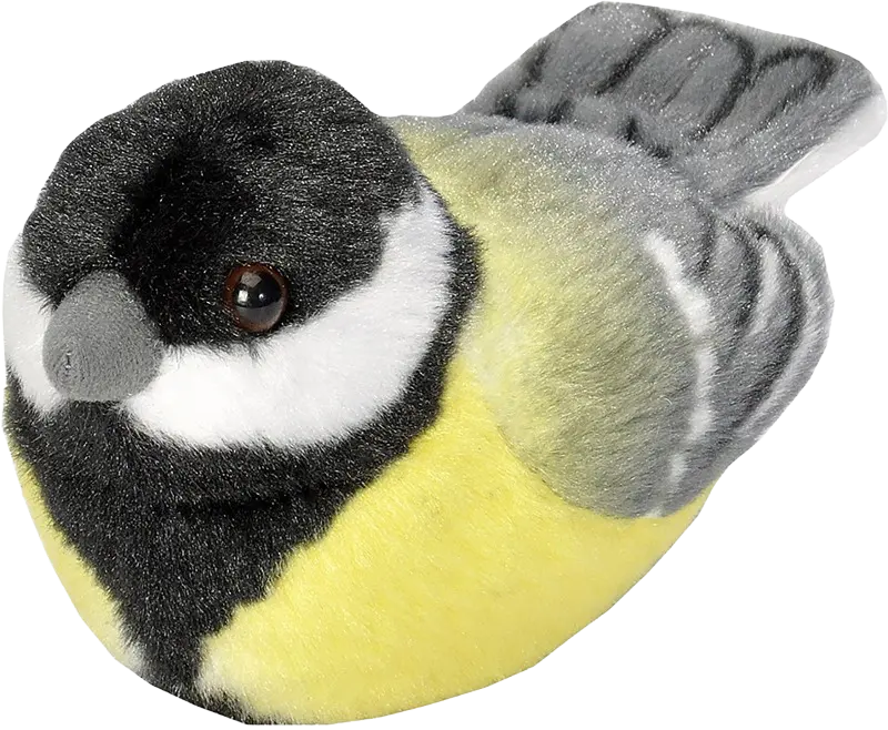 Kjøttmeis - Plysjfugl