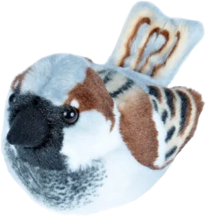 Gråspurv - Plysjfugl med "ekte" sang