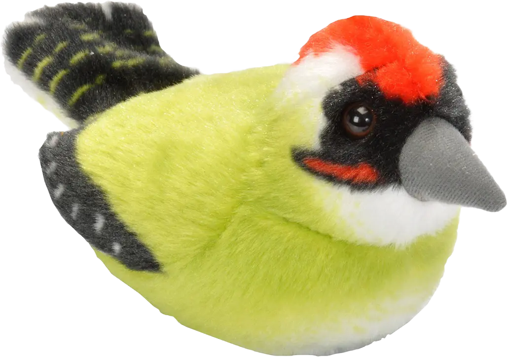 Grønnspett - Plysjfugl med "ekte" sang