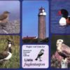 Postkort Lista Fuglestasjon