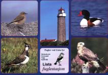 Postkort Lista Fuglestasjon