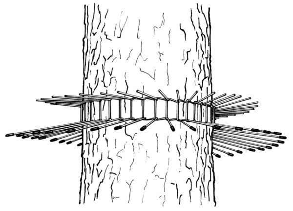 Kattebeskyttelse 1 - 70 cm