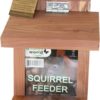 Ekornmater - Squirrel Feeder SF