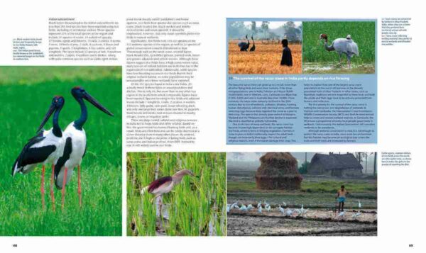 Farmland Birds across the World