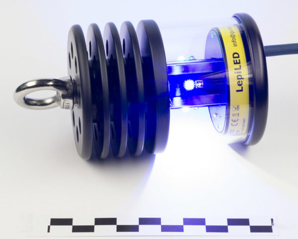 LepiLED UV-LED-lampe 0.6, Mini switch - For å tiltrekke seg nattsommerfugler