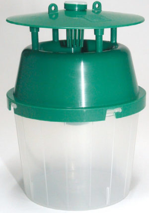 Feromonfelle i plast - Unitrap (grønn/transparent)