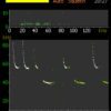 SSF BAT3-Detector - Flaggermus detektor med spektogram og sonogram.