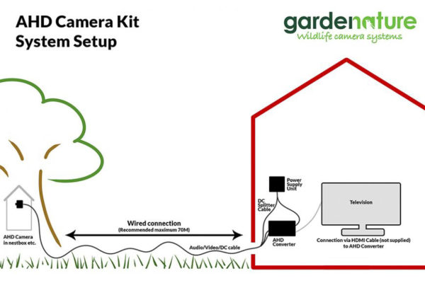 Fuglekasse kamera kit - Farge Full-HD 1080p HDMI kamerakit m/infrarød nattfunksjon