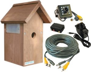 Fuglekasse kamera kit for TV