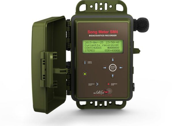 Wildlife Acoustics Song Meter SM4 - Lydopptaker for naturovervåking