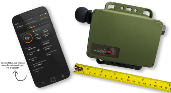 Wildlife Acoustics Song Meter Mini - Lydopptaker for naturovervåking