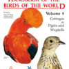 Handbook of the Birds of the World, vol. 9.