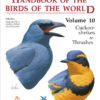 Handbook of the Birds of the World, vol. 10.