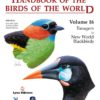 Handbook of the Birds of the World, vol. 16.