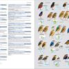 Illustrated Checklist of the Birds of the World - Volume 2 (Passerines)