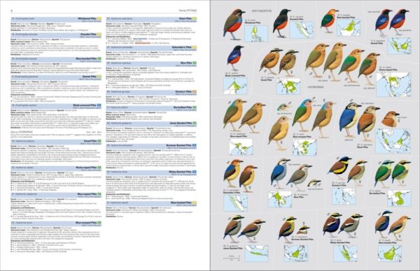 Illustrated Checklist of the Birds of the World - Volume 2 (Passerines)