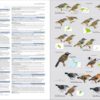 Illustrated Checklist of the Birds of the World - Volume 2 (Passerines)