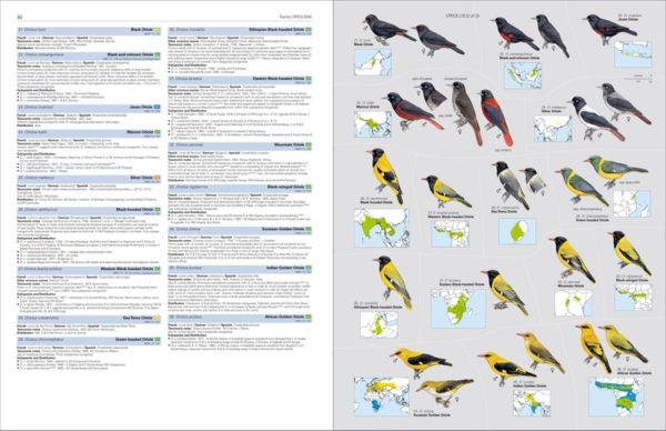 Illustrated Checklist of the Birds of the World - Volume 2 (Passerines)