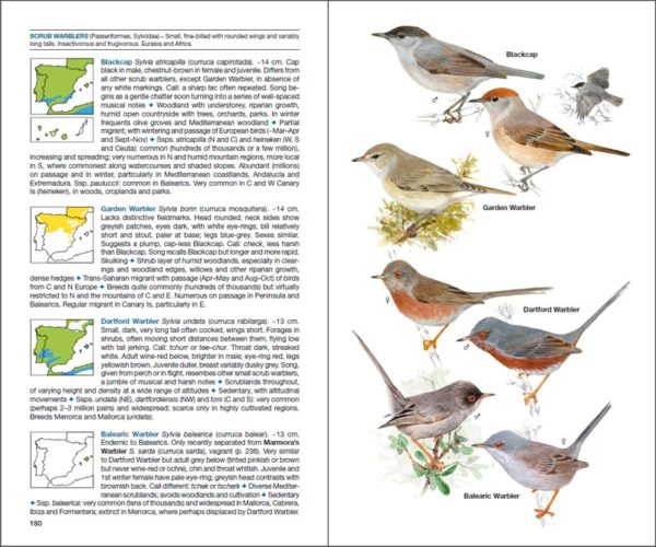 Birds of Spain