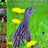 Farmland Birds across the World
