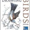 Drawing Birds