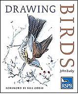 Drawing Birds