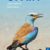Birds of Spain - Pocket Photo Guides