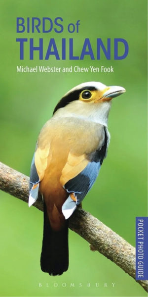 Birds of Thailand