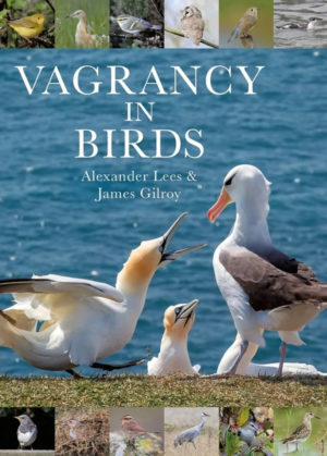 Vagrancy in Birds