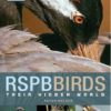 RSPB Birds: Their Hidden World