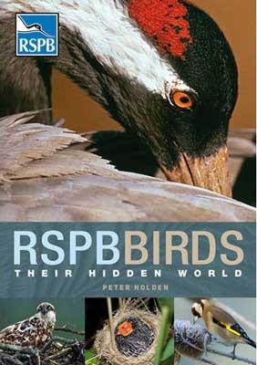 RSPB Birds: Their Hidden World