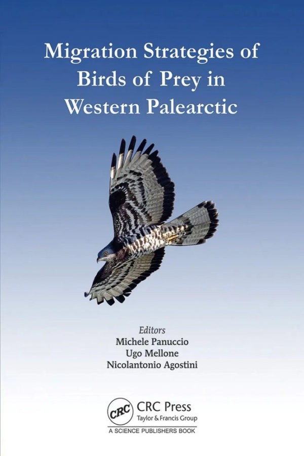 Migration Strategies of Birds of Prey in Western Palearctic