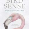 Bird Sense