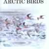 In Search of Arctic Birds