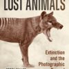 Lost animals