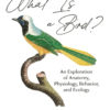What Is a Bird?