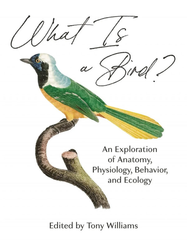 What Is a Bird?