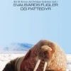 Svalbards fugler og pattedyr