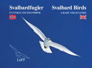 Svalbardfugler