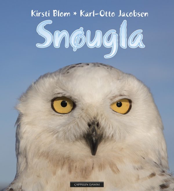 Snøugla