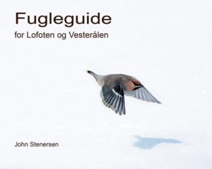 Fugleguide for Lofoten og Vesterålen