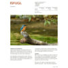 Fugleatlas