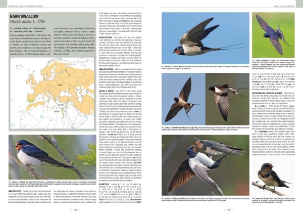 Handbook of Western Palearctic Birds