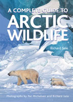 A Complete Guide to Arctic Wildlife