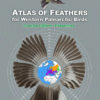 Atlas of Feathers for Western Palearctic Birds - Passerines - Concise Edition