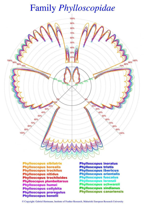 Atlas of Feathers for Western Palearctic Birds - Passerines - Concise Edition