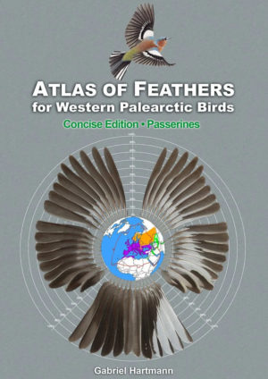 Atlas of Feathers for Western Palearctic Birds - Passerines - Concise Edition