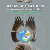 Atlas of Feathers for Western Palearctic Birds - Non-Passerines - Concise Edition